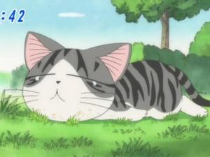 �ٻ��ǹ��� apichai1114