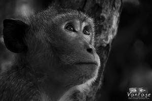 �ٻ��ǹ��� topbeem