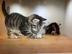 �ٻ��ǹ��� snowy