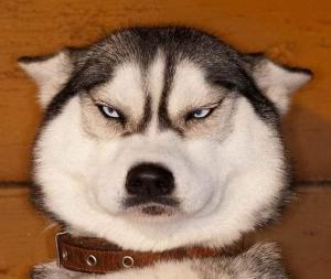 �ٻ��ǹ��� chay316