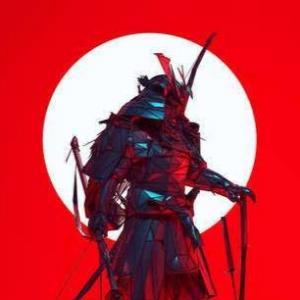 �ٻ��ǹ��� RoninRytecAMR