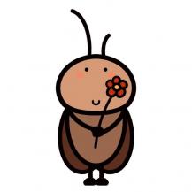 �ٻ��ǹ��� sawara